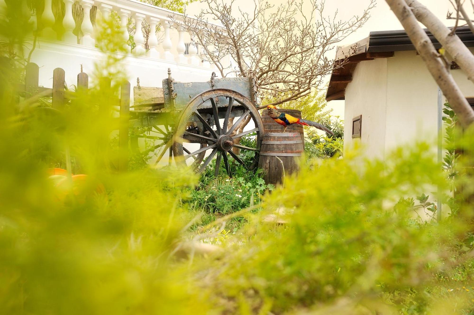 Elsa Cori Me Hotel Favara Bagian luar foto